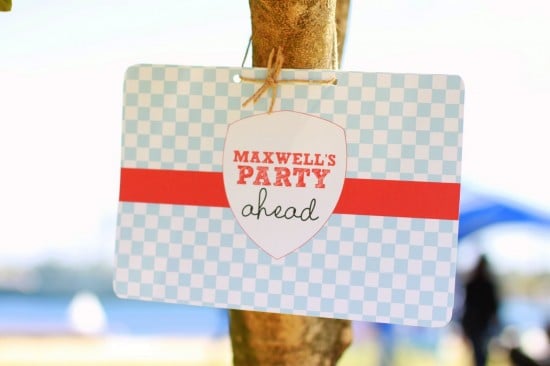 sign-1 Red and blue party sign