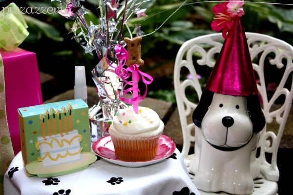 Doggie Birthday Party
