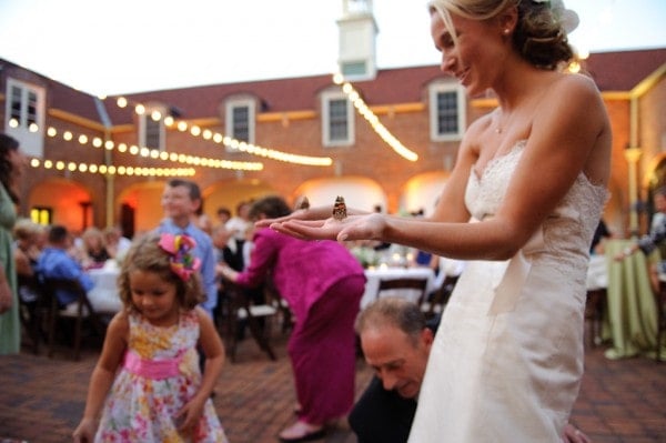 Butterflies at Wedding