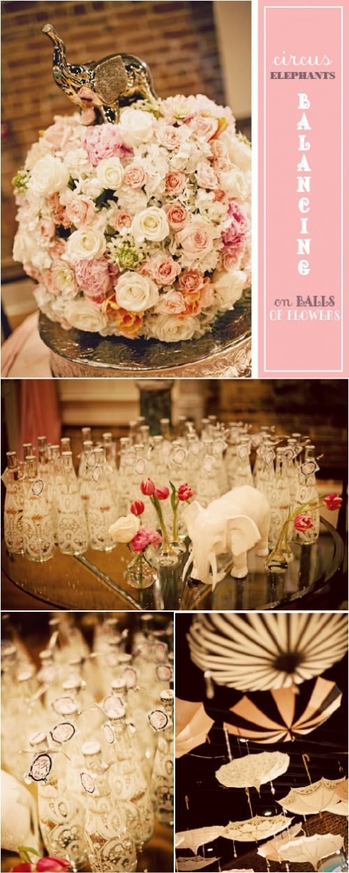 Elephant Pink Party