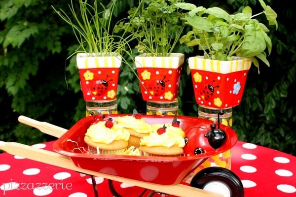 Ladybug Party Wheelbarrow