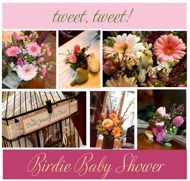 birdie baby shower picture