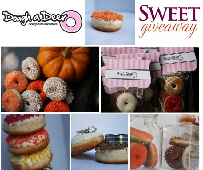 doughnuts miniature giveaway