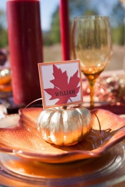 thanksgiving place setting