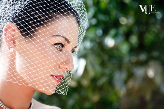 birdcage veil