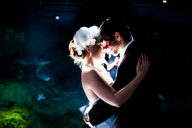 wedding aquarium